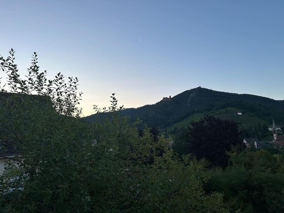 Vue Magnifique Sur Les Chateaux Ribeauvillé Extérieur photo