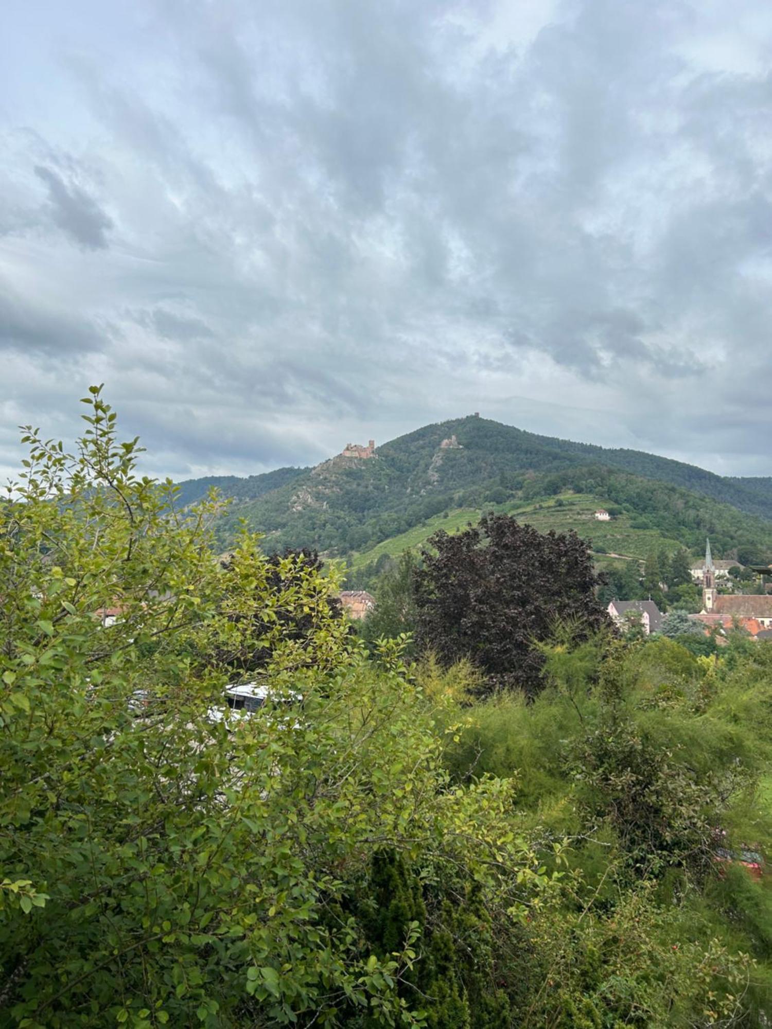 Vue Magnifique Sur Les Chateaux Ribeauvillé Extérieur photo